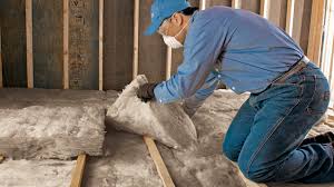 Best Attic Insulation Installation  in Tracy, MN