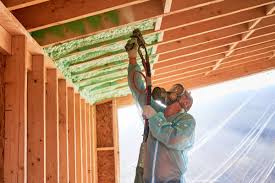 Best Soundproof Insulation  in Tracy, MN