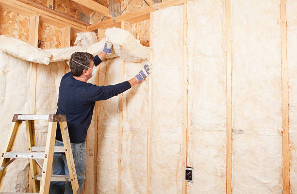 Best Batt and Roll Insulation  in Tracy, MN